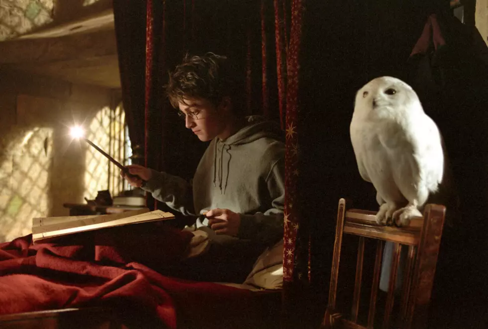 J.K. Rowling Announces ‘Harry Potter At Home’ Online Service