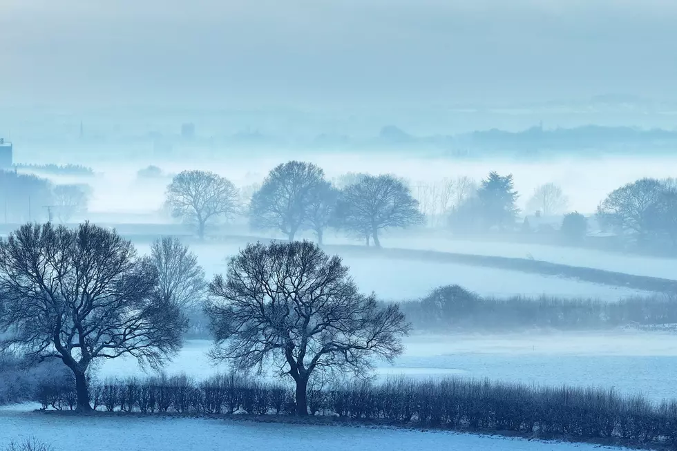 Frost Quakes in Michigan: What’s Behind the Loud Booms?