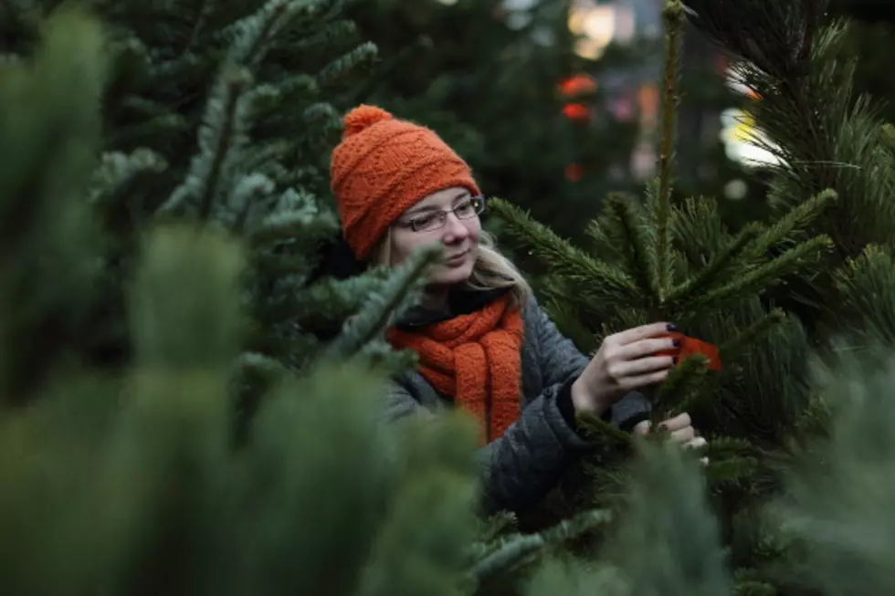 Oh, Christmas Tree